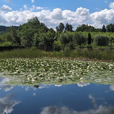 Фермерский дом Libero Ranch Paderno (Forli-Cesena)