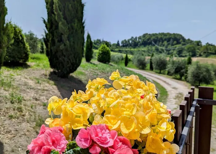 Farm stay Libero Ranch *